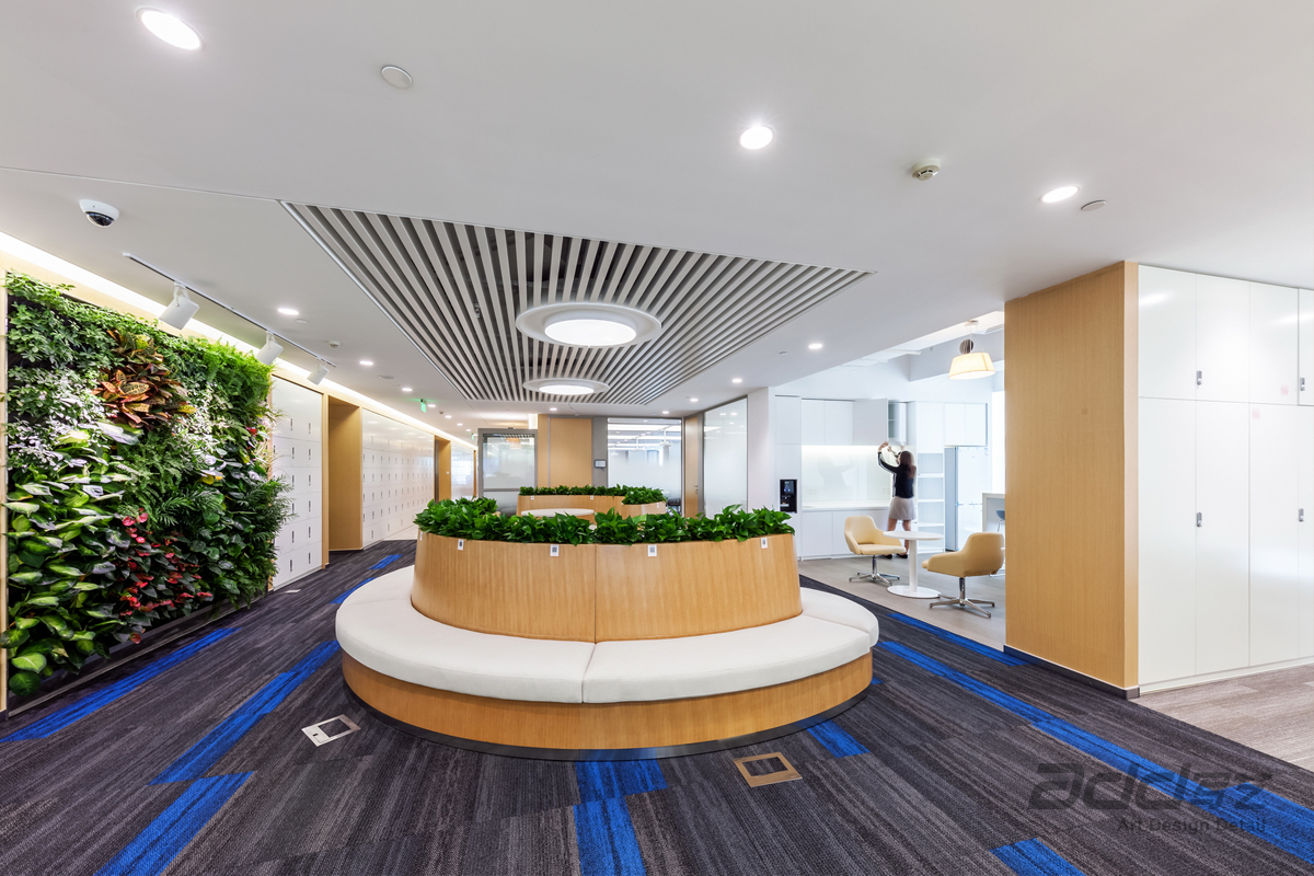 1613978338383668.jpg 18.jpg